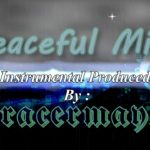 Peaceful Mind ( Smooth Emotional R&B Instrumental )