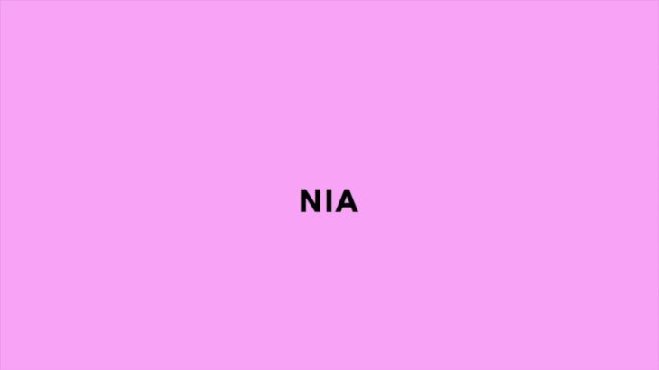 R&B Bedroom Instrumental – Nia