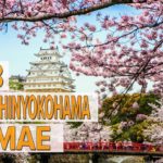 R&B Hotel Shinyokohama Ekimae hotel review | Hotels in Yokohama | Japanese Hotels