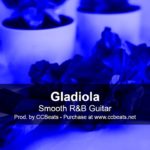 Smooth guitar r&b beat “Gladiola” – soulful guitar r&b beat (Prod. CCBeats)