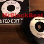 Wayne Marshall – How We Do (2006)[PROMO-UNRELEASED][INDIE R&B]