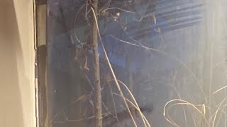 에어팟이 손난로가 되는 노래 (팝/R&B)