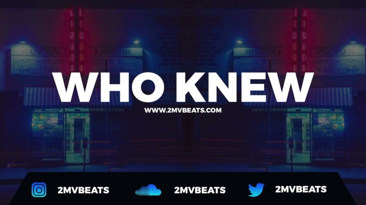 [FREE] Jorja Smith x Ella Mai x H.E.R. Type Beat 2020 | R&B Instrumental  – “WHO KNEW” @2MVBeats