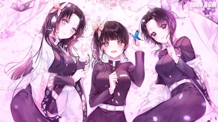 【作業用BGM】テンション跳ね上がる重低音ミックスカッコイイ曲最強アニソンメドレー Strongest Beautiful Remix Anime Songs