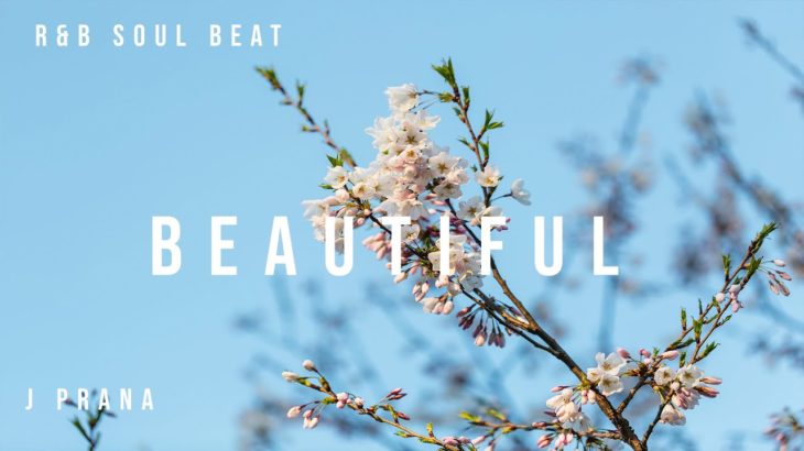 “Beautiful” – Daniel Caesar x Her Type Beat | R&B Soul Beat
