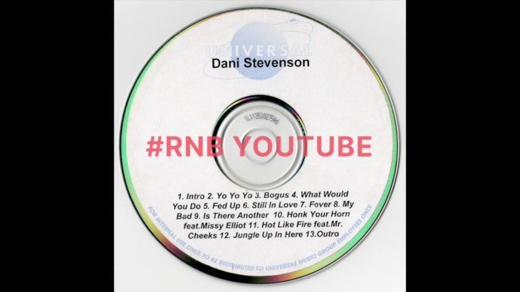 Dani Stevenson Feat. Mr. Cheeks – Hot Like Fire (2003) | UNRELEASED R&B