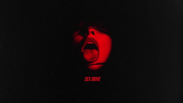 [FREE] DVSN Type Beat ‘Sex Drive’ Free R&B Beats 2020 – R&B Trap Instrumental