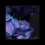| FREE | H.E.R X SUMMER WALKER TYPE BEAT – ROSES | R&B BEAT | R&B INSTRUMENTAL