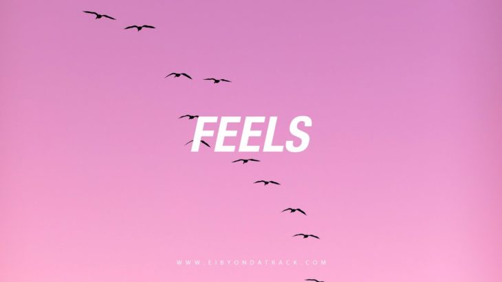 [FREE] Kehlani x R&B Soul Type Beat 2020 ”Feels” | Eibyondatrack