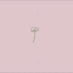 (FREE) R&B TYPE BEAT INSTRUMENTAL Roses – Prod.By Steeze Beats