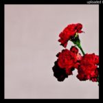 “LOVE ” Xanman x R&B Type Beat 2020