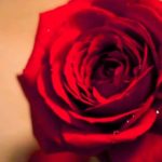 R&B Love Instrumental Beat – ”24 Days” (2013 & 2020)