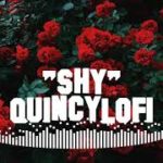 “Shy” R&B Type Beat – With Vocals / Prod By ”QuincyLofi