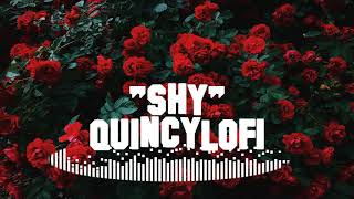 “Shy” R&B Type Beat – With Vocals / Prod By ”QuincyLofi