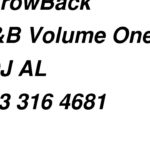 THROWBACK R&B DJ AL VOL 1