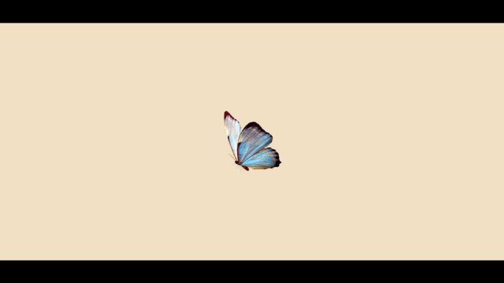 ฟรีบีท [ FREE ] Butterfly – Trap,R&b,Guitar Beat Instrumental 2020