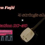 4弦エレキ三味線×ループステーション/藤井黎元 Aマイナー R&B バラード