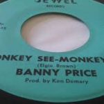 Banny Price  Monkey See Monkey Do  R&B Soul