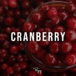 “Cranberry”  – Catchy Chill Rap Beat | R&B Hip Hop Instrumental Music 2020 | KOKLEV #Instrumentals