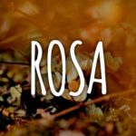 [FREE] R&B Type Beat “ROSA” | 90s Soul RnB Guitar Beat 2020
