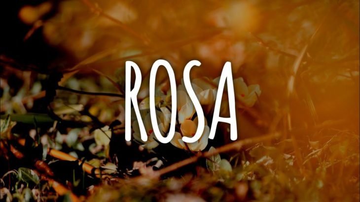 [FREE] R&B Type Beat “ROSA” | 90s Soul RnB Guitar Beat 2020