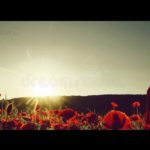 (Free) Nepali Reggae Type R&B Love Instrumental Rap Beat 2020 [Prod: B&V BeatZ]