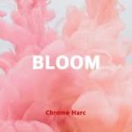 Jay Park x Mokyo Type Beat “Bloom” R&B/Soul Instrumental