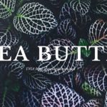 SHEA BUTTER | Summer Walker x SZA x Halsey Type Beat | Chill R&B Soul Instrumental 2020