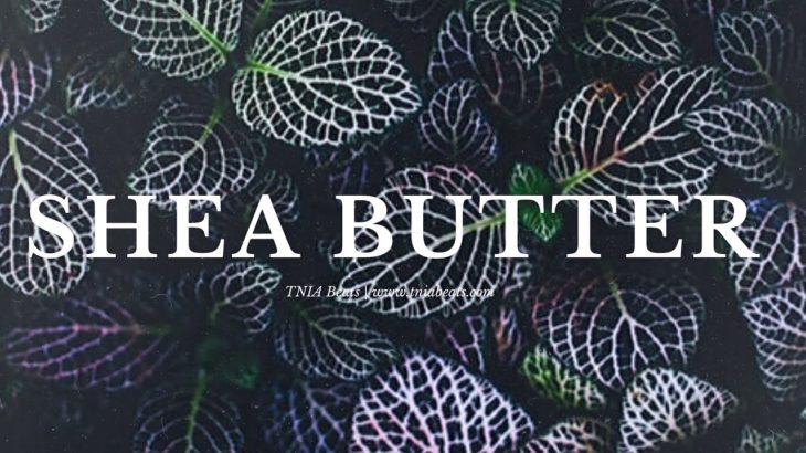 SHEA BUTTER | Summer Walker x SZA x Halsey Type Beat | Chill R&B Soul Instrumental 2020