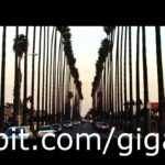 West Coast/Detroit Type Beat (NEW Shorline Mafia Ohgeesy)  Cali R&B 2020
