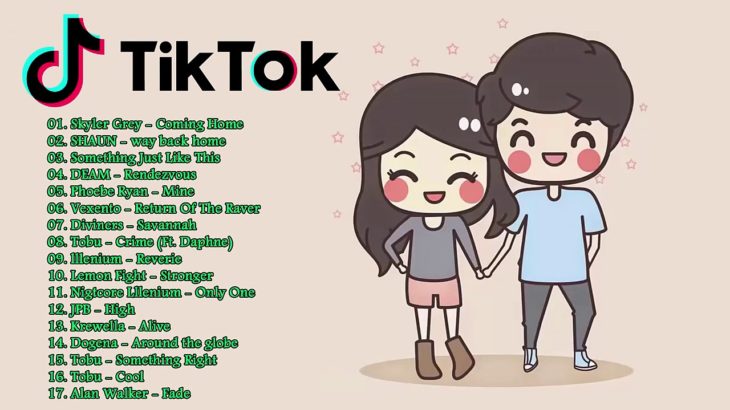 【TikTok】 よく使われる曲集 【 人気曲☆EDM R&B POP 洋楽  K POP 】