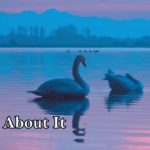 Music For Happy Mood | Pop R&B