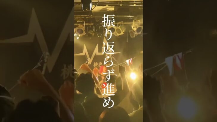 新曲をチラ見せ！ #shorts #インディーズバンド