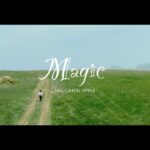 Mrs. GREEN APPLE「Magic」Official Music Video
