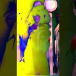 #オリジナル曲 #邦ロック #インディーズバンド #歌詞動画 #深夜に聴きたい曲