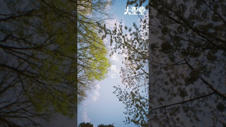 #大聖堂 – さよなら青春 #邦ロック #ipop #インディーズバンド #曲紹介 #music #おすすめ乗りたい #オリジナル曲 #作詞作曲 #卒業 #春