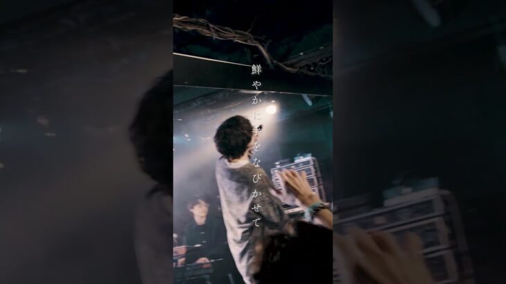 Awkmiu-1089 センパクと読みます#バンド#MV#邦楽#邦ロック#インディーズ#インディーズバンド#インディーズバンド紹介#おすすめ曲#Shorts#youtubemusic