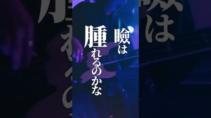#Shorts #インディーズバンド #邦ロック好きと繋がりたい #インディーズバンド #live #オリジナル曲 #fyp #ミイ #コンタクト #恋愛