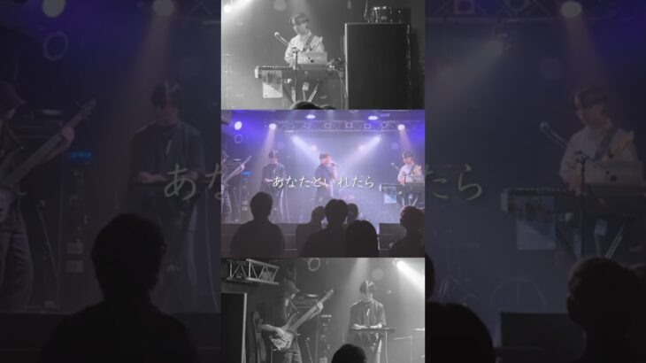 Metro/TravelService #音楽 #バンド #ライブ動画  #MV  #音楽好き #インディーズバンド  #EDM #インディーズ