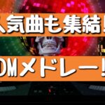 【パリピ】ノリ過ぎ注意‼人気曲含めたEDMメドレー♪
