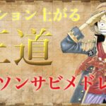 【映像付き】俺得！テンション上がる王道アニソンサビメドレー！！【作業用BGM】