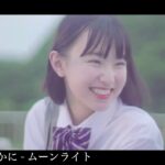 【最新曲多め】邦ロックサビメドレー【全15曲】
