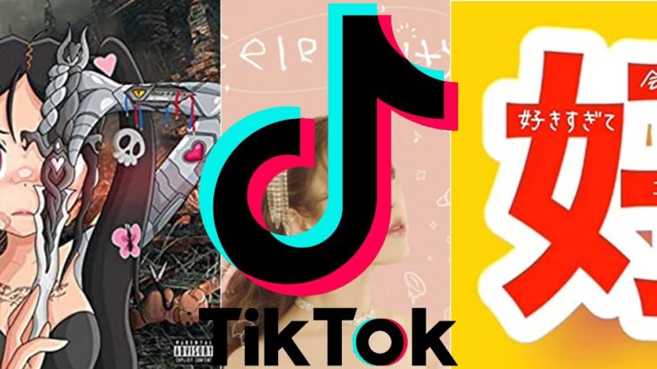 TikTok最新曲メドレー（ショートMIX）vol.2