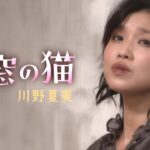 川野夏美「裏窓の猫」MUSIC VIDEO