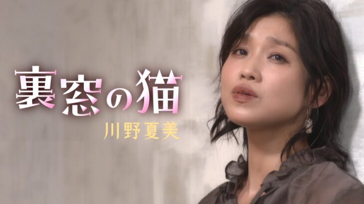 川野夏美「裏窓の猫」MUSIC VIDEO
