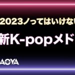 【🇰🇷2023ノってはいけない🇰🇷】最新K-pop メドレーby DJ NAOYA