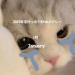 【2023年流行ったTikTokメドレー】何曲踊れる？