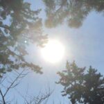 ー最新曲ー ふたたび [ オリジナル曲 ]@takayukikonishi #作曲 #小西隆之＃ミュージシャン 　　　　　　　　　明けましておめでとうございます。本年もどうぞよろしくお願い致します。