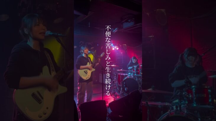 『私の部屋』#shorts #バンド #オリジナル曲 #インディーズバンド #ギター #ドラム #邦ロック