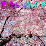 邦楽 春の歌 春うた 人気の春ソング メドレー🌸春に聴きたい曲感動する歌 2024 🌸 新曲 2024🌸JPOPメドレー 最新曲 2024